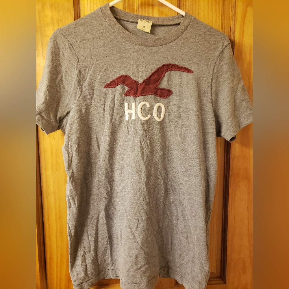 Hollister Graphic Tee Gray